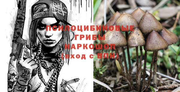 прущая мука Лагань