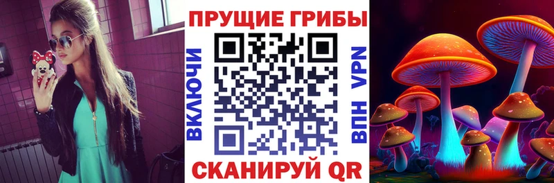 mega как зайти  Игра  Псилоцибиновые грибы мицелий 